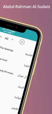 Quran Sudais MP3 Offline android App screenshot 6